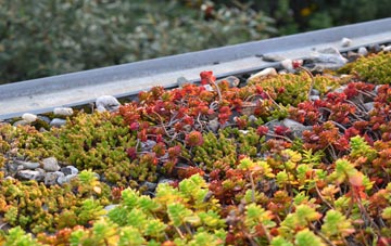 the cost of Shifnal green roof installation