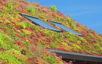 Shifnal living roof systems